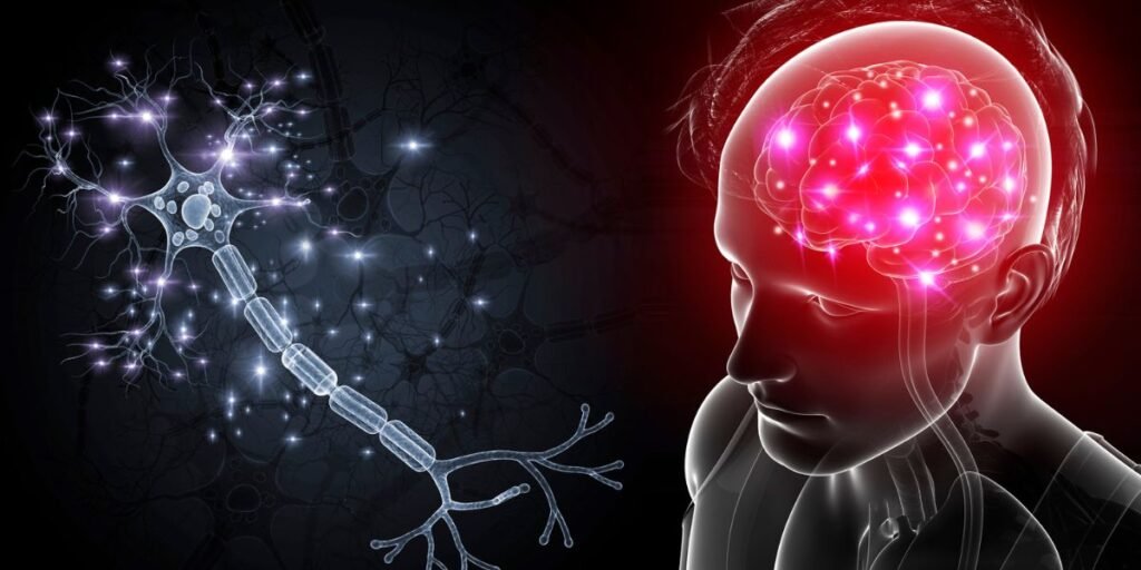 como a mente é expandida quando a pessoa aprende algo novo